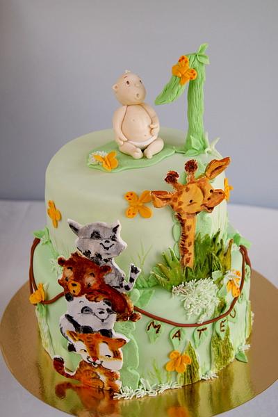 Jungle animals cake for 1st birtday - Cake by Katarzynka