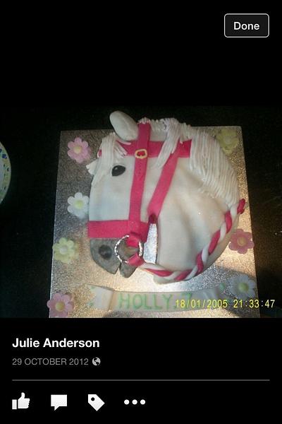 Horse head  - Cake by Julie Anderson