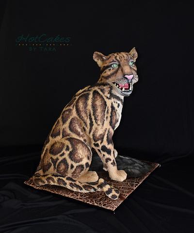 Clouded Leopard- Cake this again Collab  - Cake by HotCakes by Tara