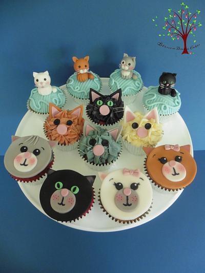 Kitty cupcakes - Cake by Blossom Dream Cakes - Angela Morris