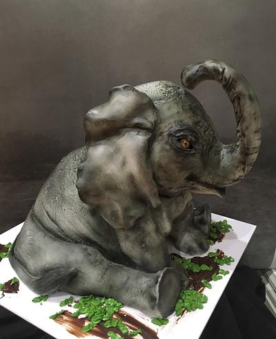 Elephant Cake - Cake by  Sue Deeble