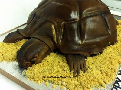 3d Tortoise - Cake by Alli Dockree