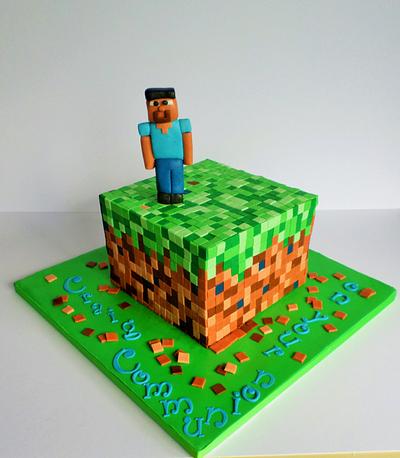 Minecraft block with Steve - Cake by Kickshaw Cakes