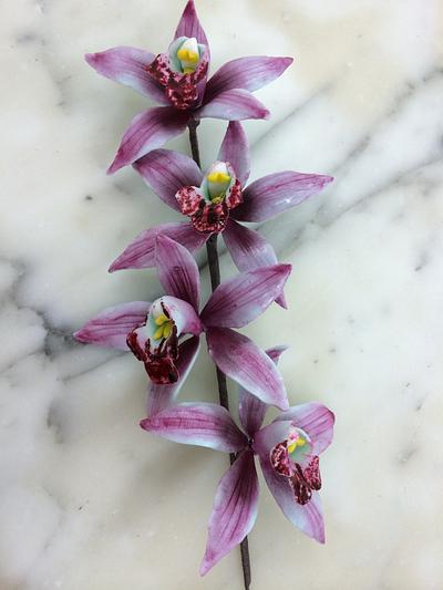 Orchid - Cake by Paul Kirkby