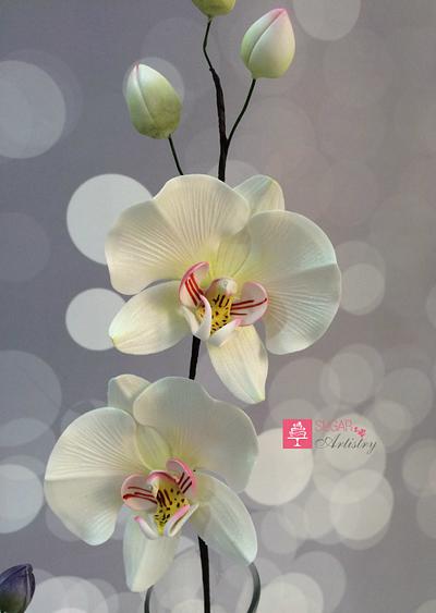 Phalaenopsis Sugar Orchid - Cake by D Sugar Artistry - cake art with Shabana