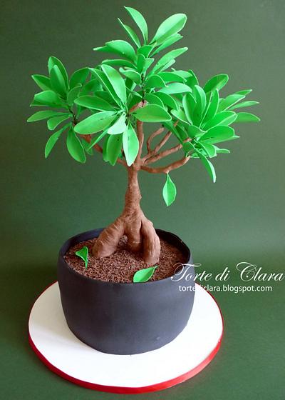 Bonsai cake - Cake by Clara