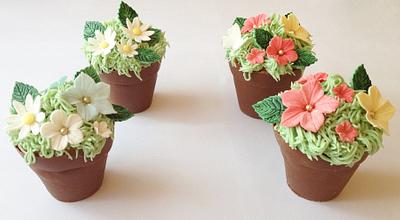 Flower Pot Mini Cakes - Cake by rosiescakes