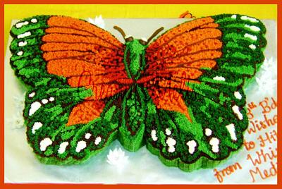 A Butterfly Cake - Cake by Rajeena
