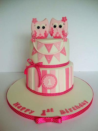 Owl 1st birthday cake - Cake by Amy