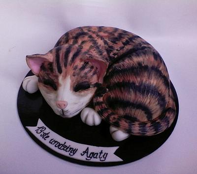 Sleeping  cat - Cake by Daria