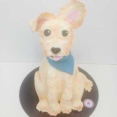 Figo Doggy cake - Cake by Sketiglyka