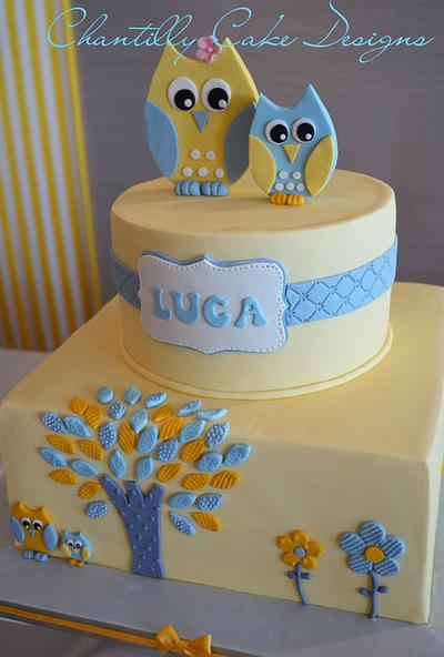 Owl Baby Shower Cake - Cake by Chantilly Cake Designs - Beth Aguiar