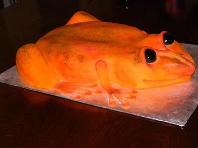 Orange frog cake - Cake by donnascakes