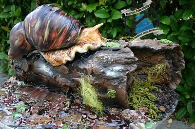 Giant African Land Snail  - Cake by Sam Lucero