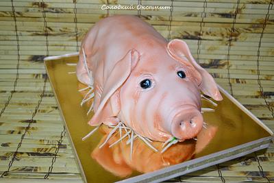 Pig - Cake by Oksana Kliuiko
