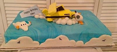 Airplane - Cake by caymanancy