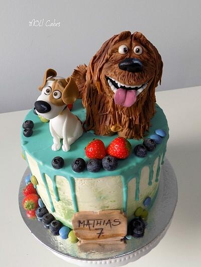Secret life of pets - drip cake  - Cake by MOLI Cakes