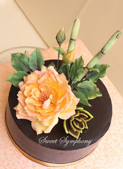 Open rose and Japanese Rosette Succulent arrangement. - Cake by Sweet Symphony