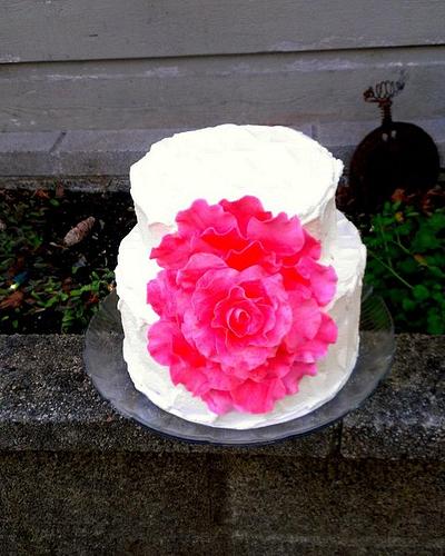 giant rose cake - Cake by cheeky monkey cakes