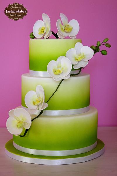 Spring Wedding Cake with moth orchids - Cake by Lara Tartacadabra
