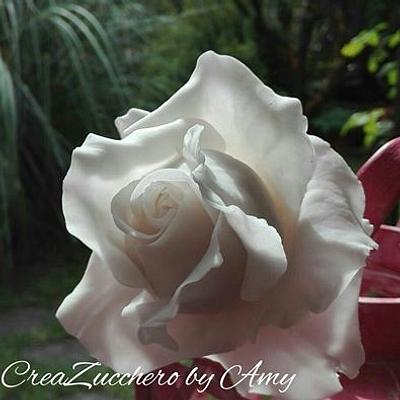 XL white rose - Cake by Amy Blasi