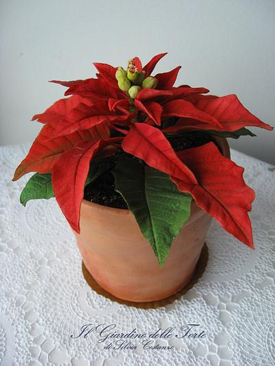 A sweet gift for Christmas: a flower pot with a red Poinsettia - Cake by Silvia Costanzo