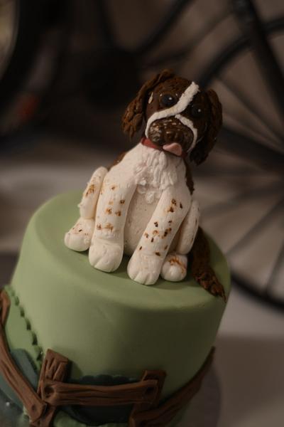 Springer Spaniel cake! - Cake by Tilly