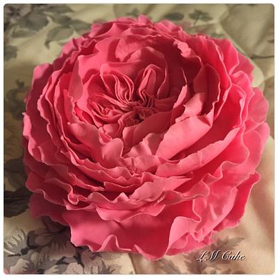 Freeform English rose - Cake by Lisa Templeton