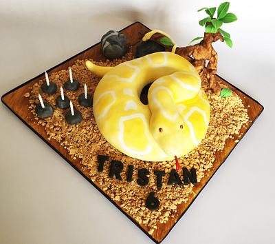 Snake cake - Cake by Natasha