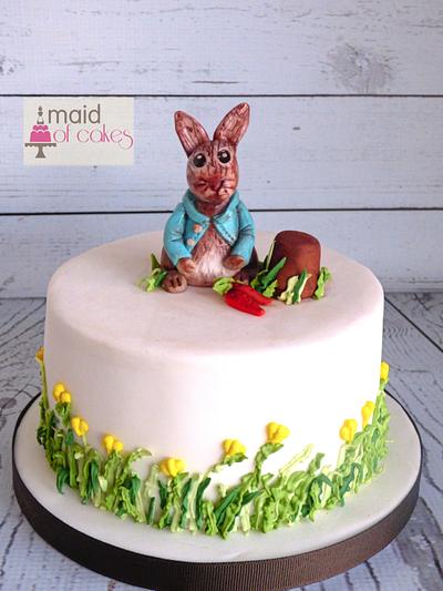 Peter Rabbit cake  - Cake by Maidofcakes