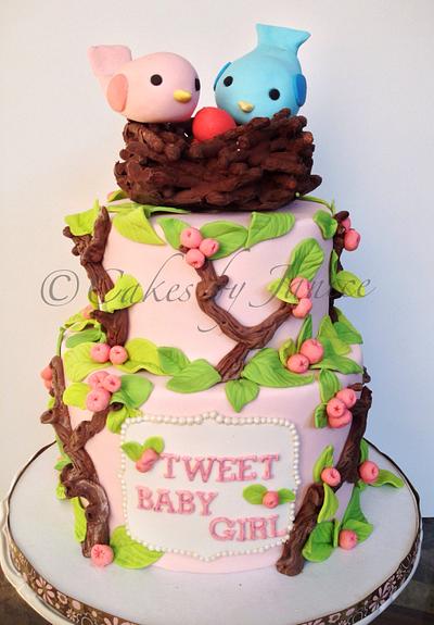 Bird themed baby shower cake - Cake by Cakes by Janice