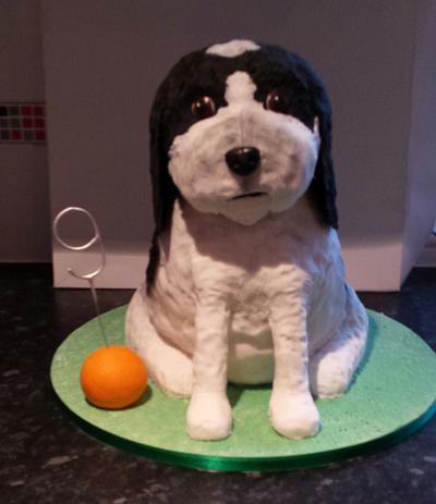 Lulu the dog - Cake by jodie