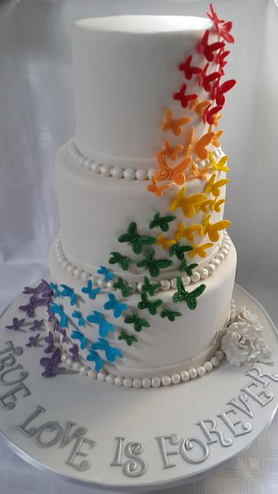 Rainbow Butterfly Cake - Cake by Tascha's Cakes