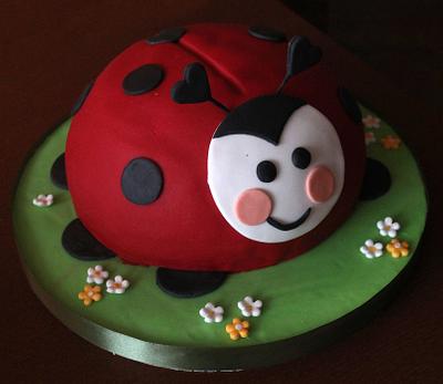 Funny ladybird - Cake by Anka