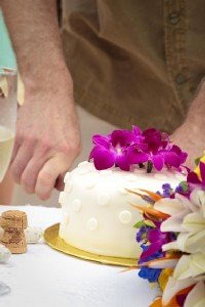 Simple Single Tier Wedding Cake - Cake by caymancake
