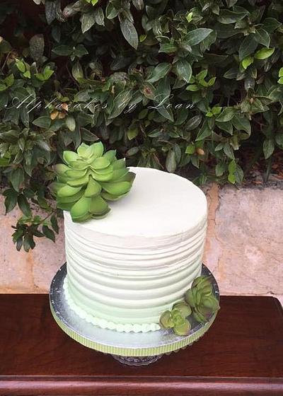 Succulent Cake - Cake by AlphacakesbyLoan 