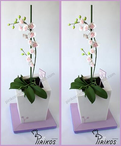 Orchid Cake - Cake by Pirikos, Cake Design