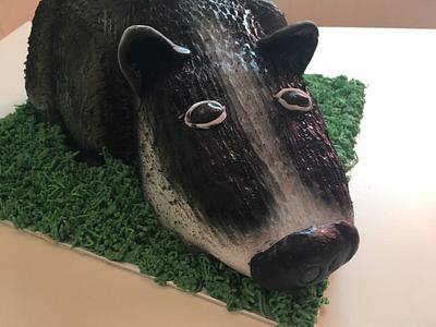 Badger Cake - Cake by Woody's Bakes