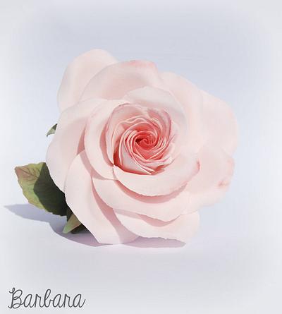 Simple rose.. - Cake by Barbara Casula