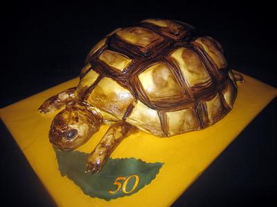 Tortoise - Cake by Gabriela