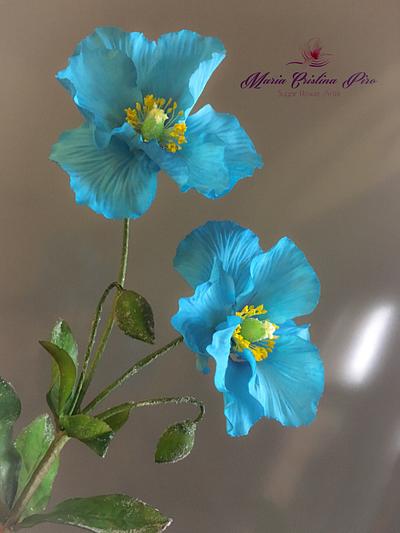 Himalayan Blue poppy - Cake by Piro Maria Cristina