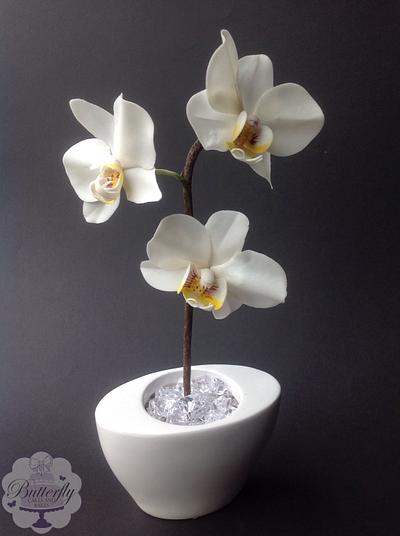 Flower paste Moth Orchid - Cake by Butterfly Cakes and Bakes