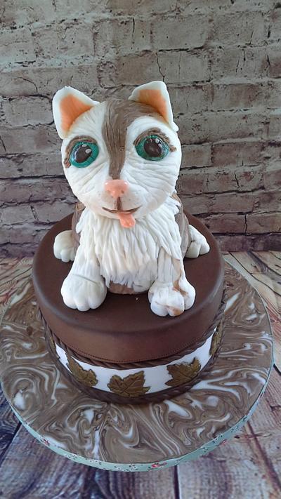 kity cat cake chocolate cake - Cake by milkmade