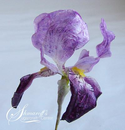 Wafer paper Iris - Cake by Petya Shmarova