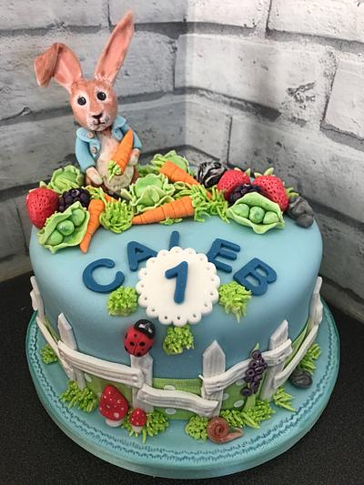Peter Rabbit cake  - Cake by Ashlei Samuels