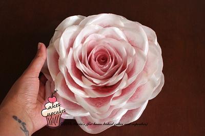 Rose in bloom - Cake by Maria's
