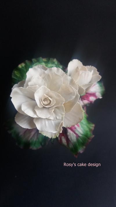 Begonia flowers  - Cake by rosycakedesigner
