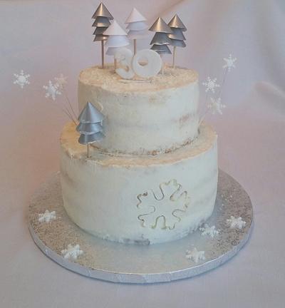 Winter - Cake by Iva
