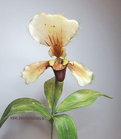 Slipper Orchid - Cake by Sweet Creations