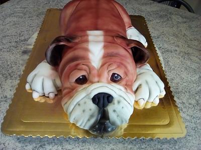 Bulldog cake - Cake by macka